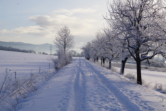 Der Radweg nach eisiger Nacht