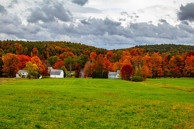 Autumn Vista