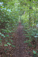 IMG 4428 IMG 4428