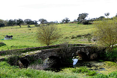 Ponte Romana da Ribeira de Pêga