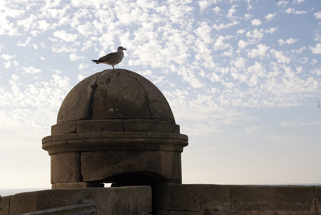 Morocco, January 2015