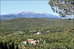 Céret (66) 17 mai 2015. Le Mont Canigou vu depuis l'ermitage Saint-Ferréol.
