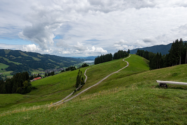 Hündle Oberstaufen-0058