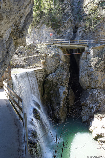 am Eingang zur Rappenlochschlucht (© Buelipix)