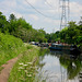 Approaching the Marina at Ashford on the Staffs and Worcs Canal