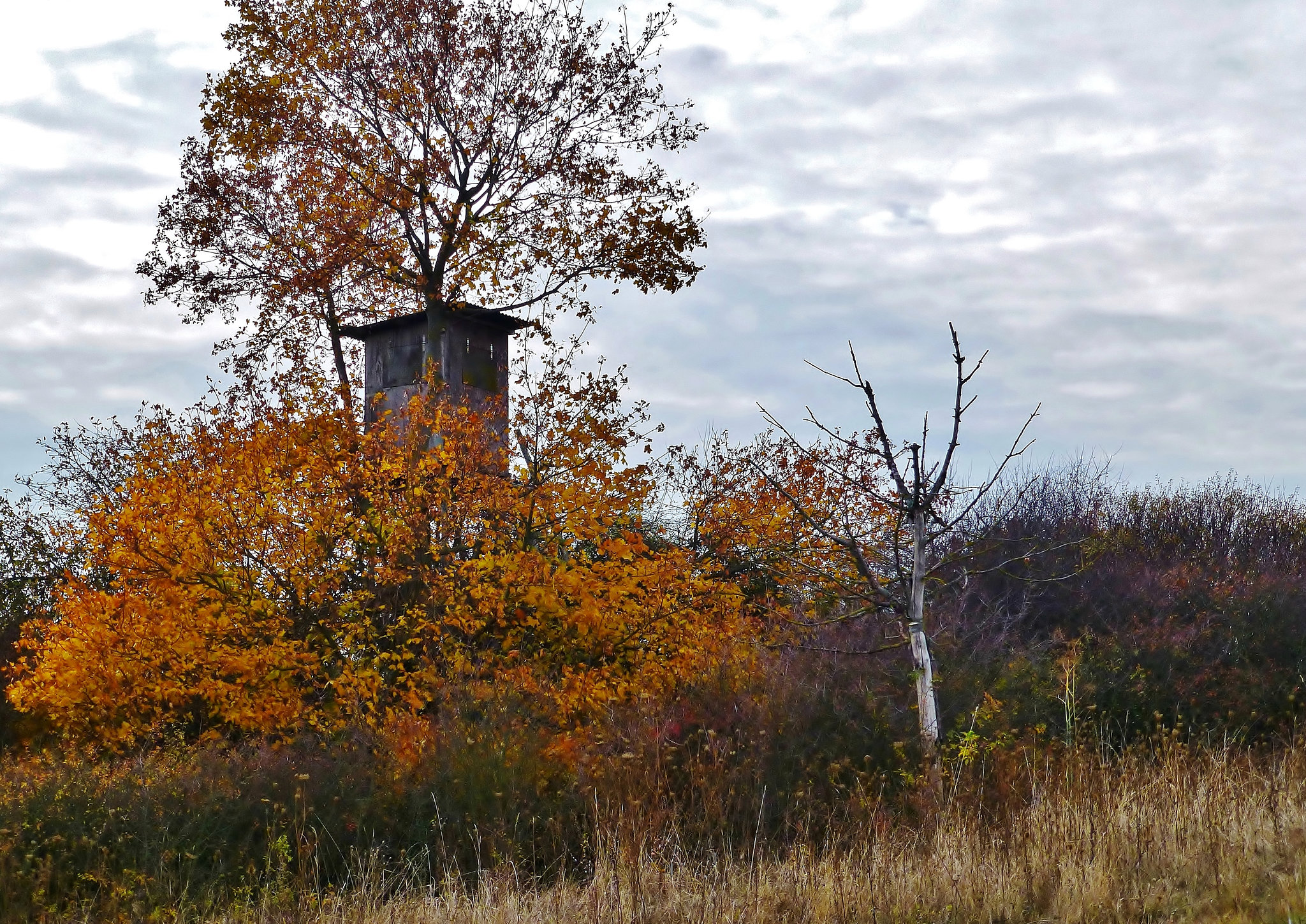 Ein trüber Novembertag - A gloomy November day