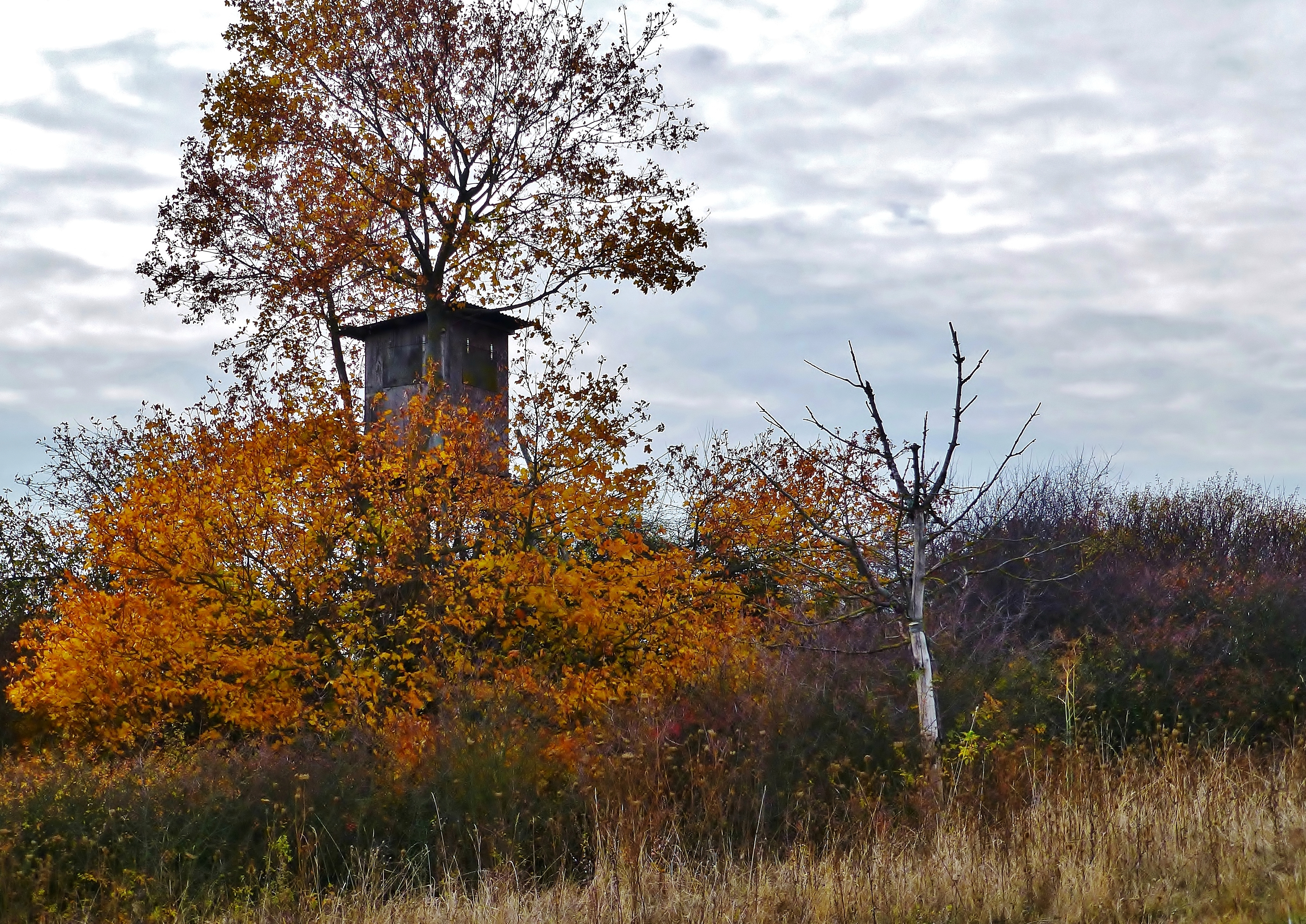 Ein trüber Novembertag - A gloomy November day