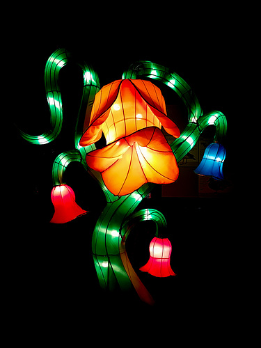 Kölner Zoo - China Light Festival