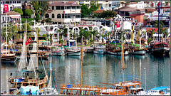 Alanya : belle barche nel porto turistico