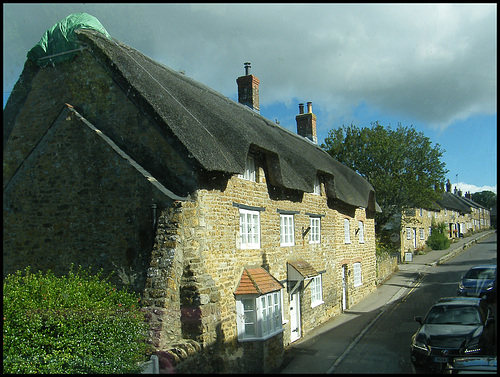 Rodden Row thatch