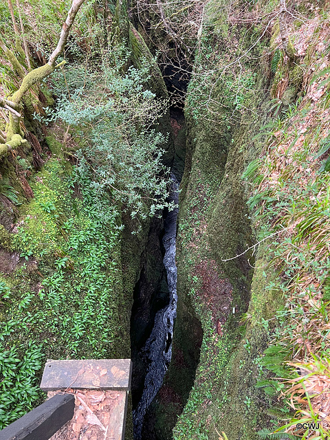 Black Rock Gorge - 40 metres deep