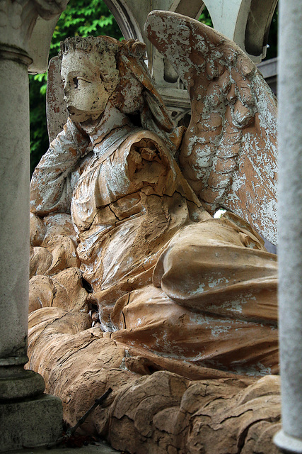 Il a du plomb dans l'aile , l'ange gardien . .