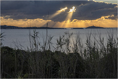 Coucher de soleil sur l'île des Embiez - Sonnenuntergang auf der Île des Embiez - Sunset on the island of Les Embiez