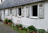 Drei Fenster und  1 Kater