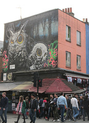 Camden Owl