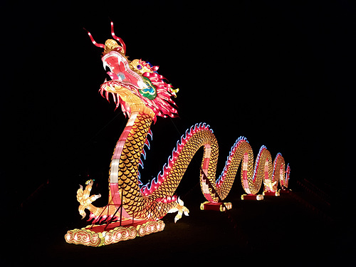 Kölner Zoo - China Light Festival