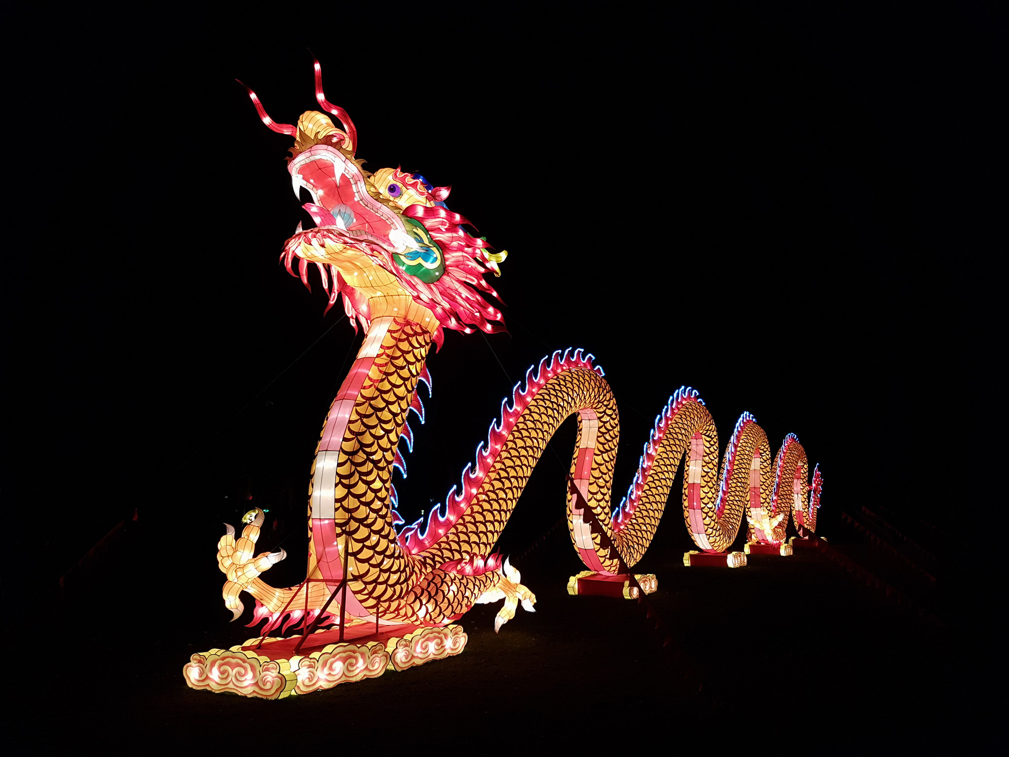 Kölner Zoo - China Light Festival