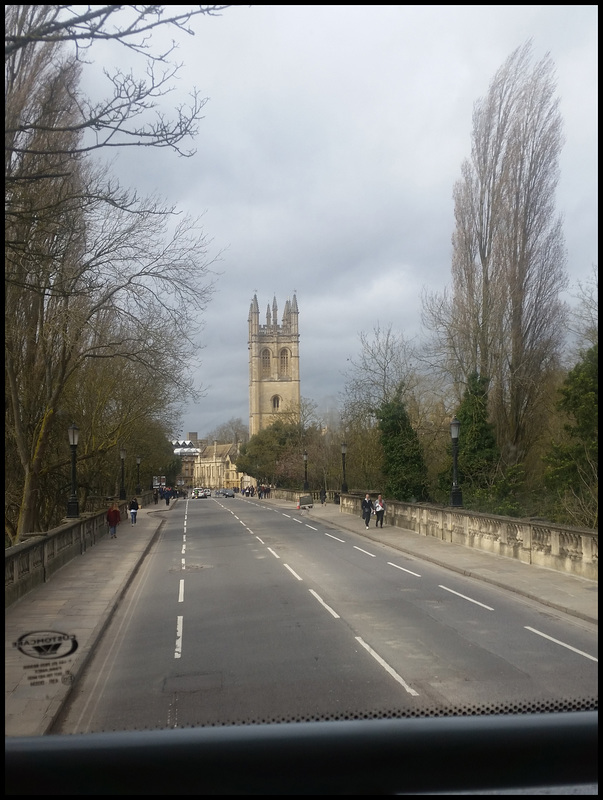 poplars at Magdalen Bridge