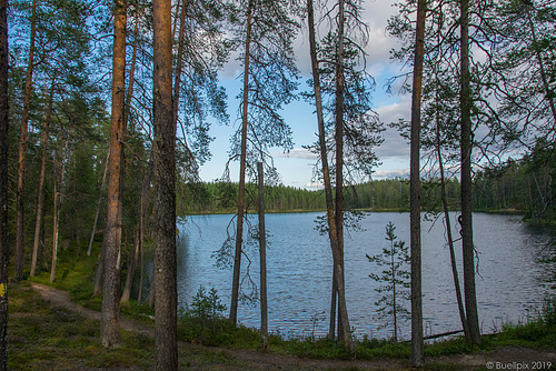 unterwegs auf dem Luontopolku Nature Trail im Hossa Nationalpark(© Buelipix)