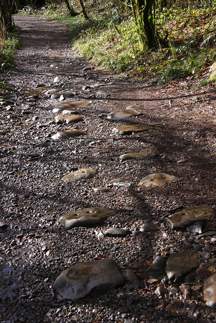 Tramway stones