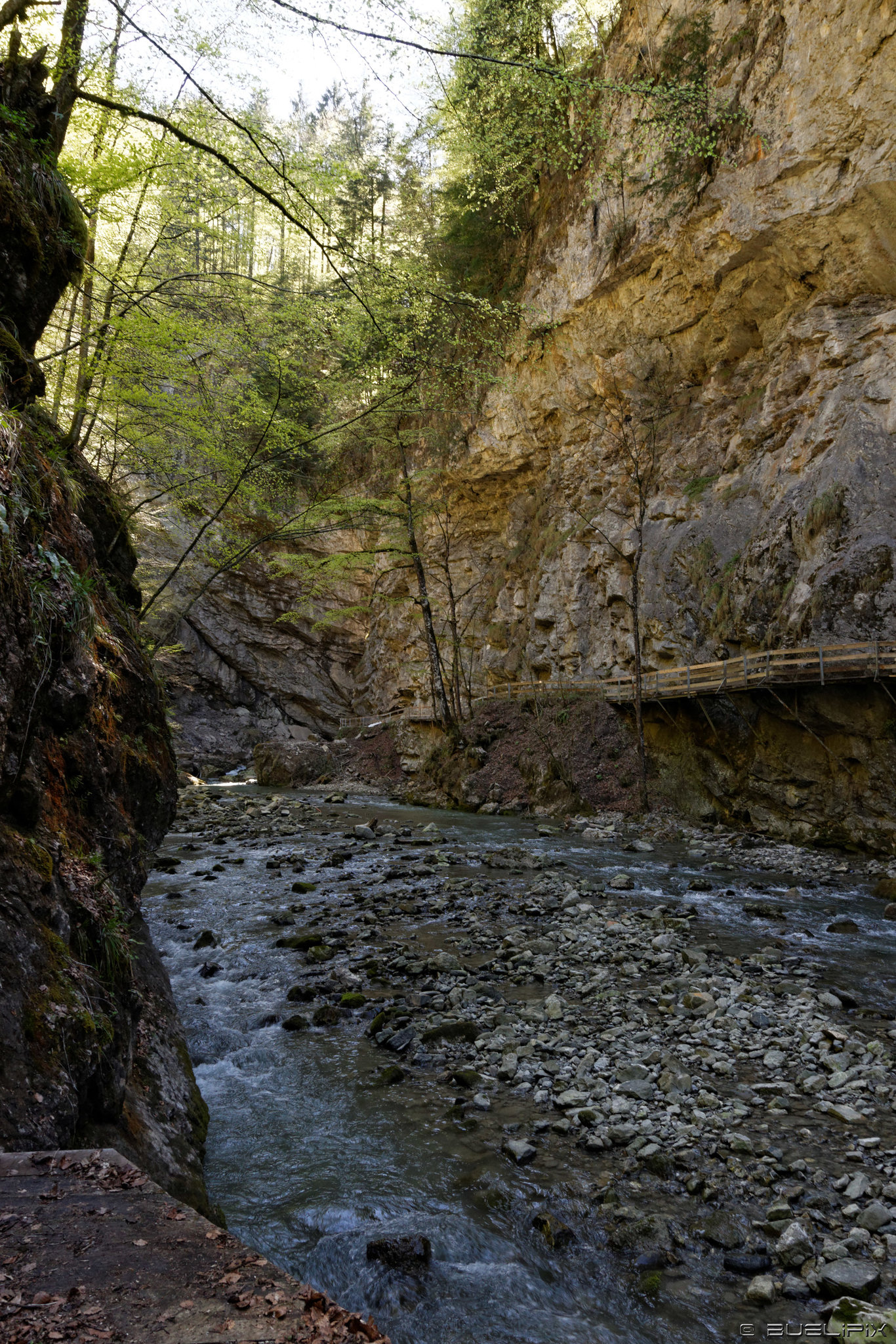 Rappenlochschlucht - an der Felswand der alte Weg (© Buelipix)