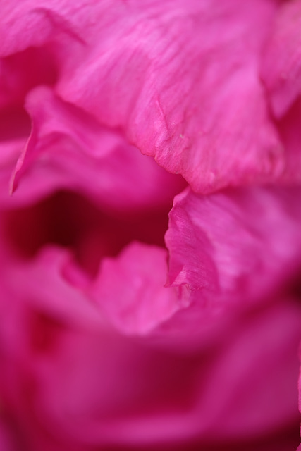 DSCF6627
