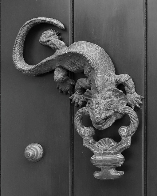 Lizard Knocker