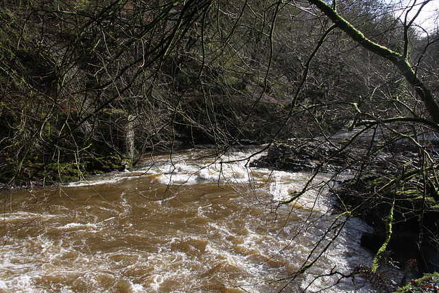 Neath Valley Waterfalls