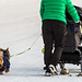 Winter walk