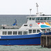 EOS 90D Peter Harriman 16 07 11 06744 coastalVibes dpp