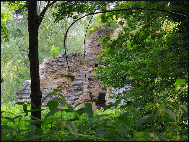 Castle Ruíne..of Jan van Eyck