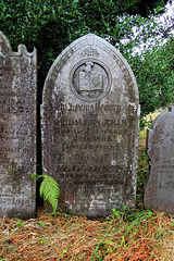 north hill church, cornwall (14)
