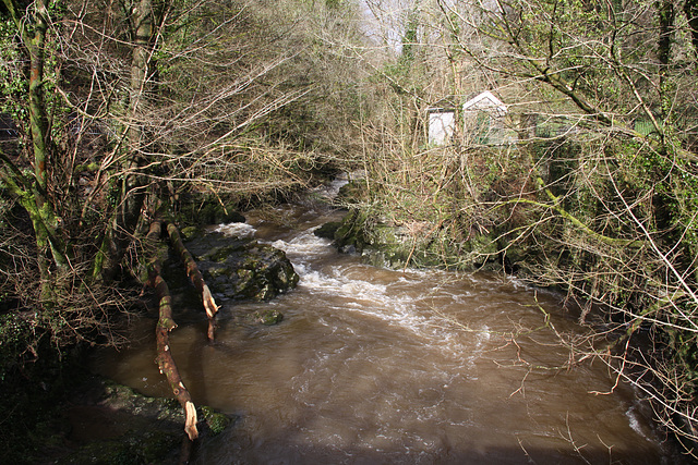 Neath Valley Waterfalls