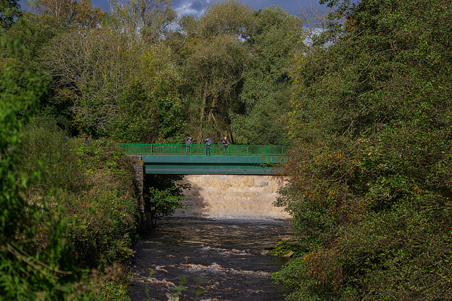 River Etherow