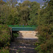 River Etherow