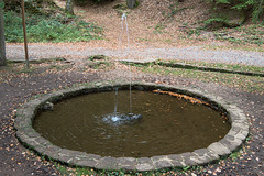 IMG 4440