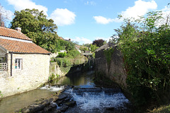 River Sheppey At Croscombe