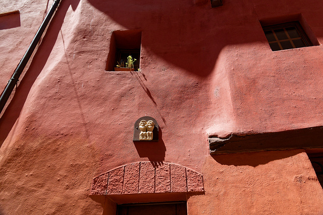 Cela nous change du béton et du verre