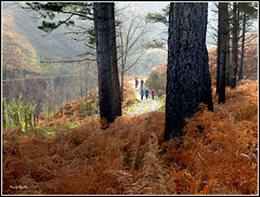 Estampa de otoño