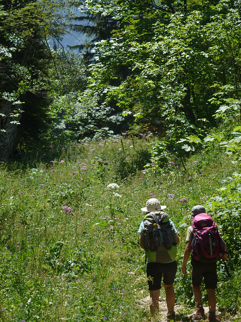 20150710 -15 Rando Spéléo St Pierre de Chartreuse (40)