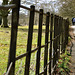 Parkland Fencing, Avebury
