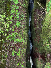 Black Rock Gorge - 40 metres deep