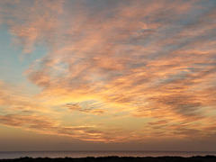 Tentsmuir morning