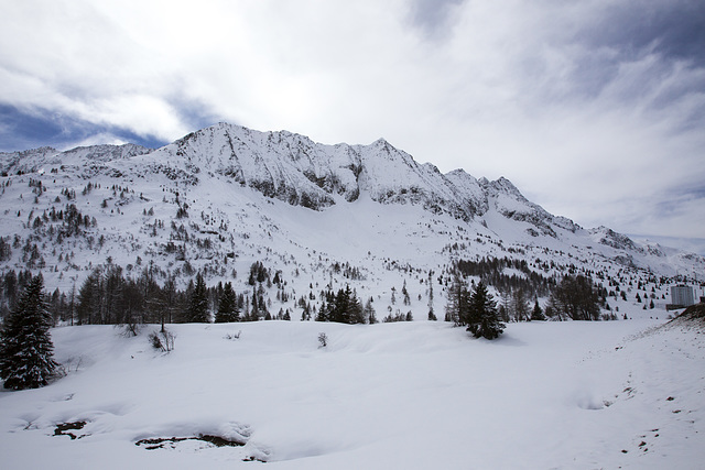 Ossana, Val di Sole - Trento