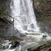 Melincourt Waterfall