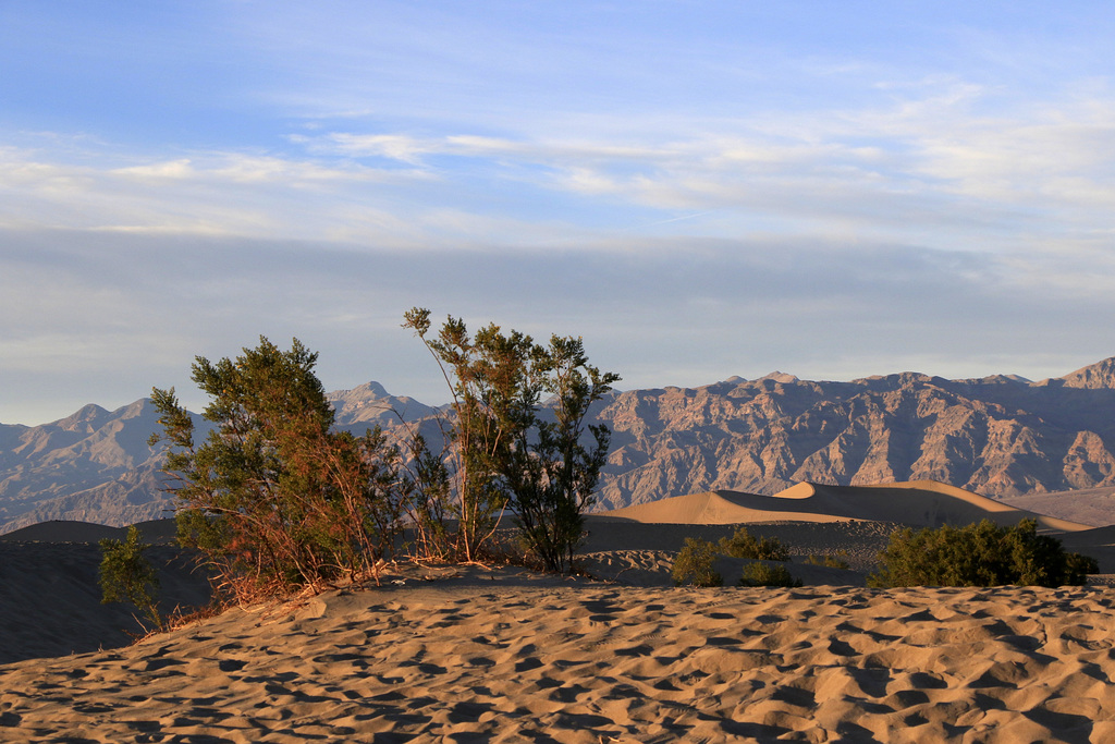 Mesquite Flat Sand Dunes