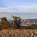 Mesquite Flat Sand Dunes