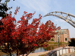 Fall -- Arc -- Wall (HWW)