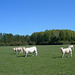 Portrait de groupe.