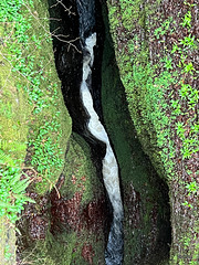 Black Rock Gorge - 40 metres deep